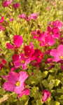 IMAG0406